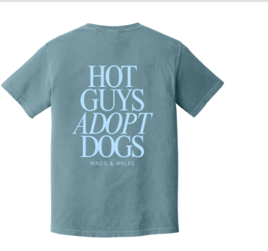 Hot Guys Adopt Dogs Tee - Ice Blue & Powder Blue