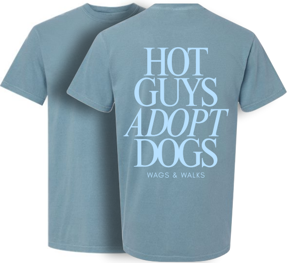 Hot Guys Adopt Dogs Tee - Ice Blue & Powder Blue