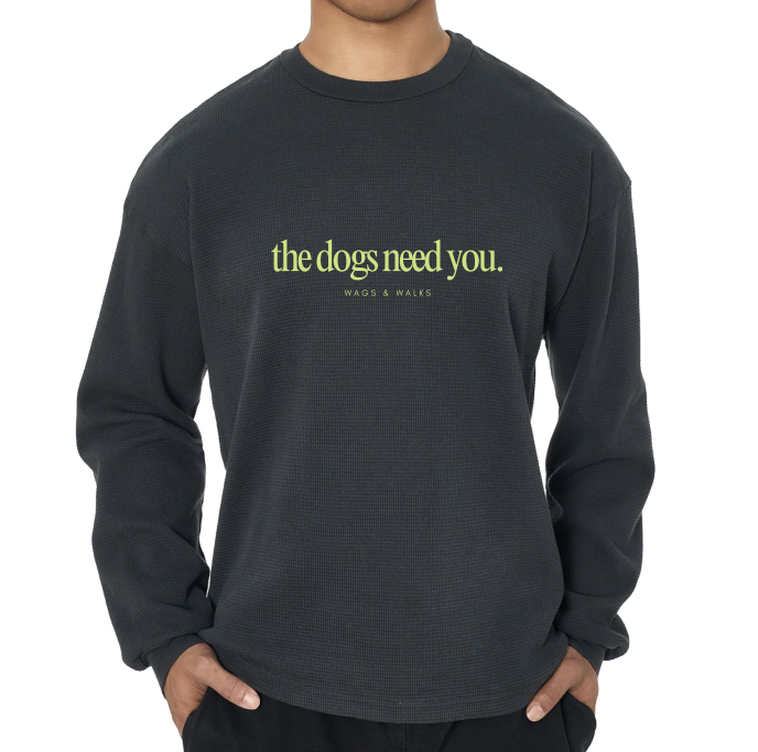 The Dogs Need You Long Sleeve Thermal in Navy + Chartreuse