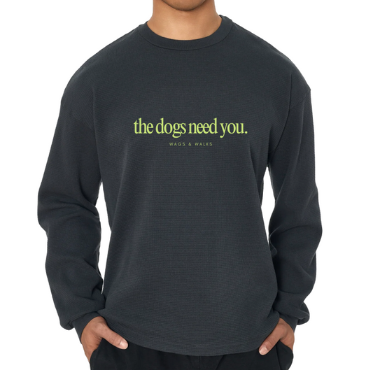 The Dogs Need You Long Sleeve Thermal in Navy + Chartreuse